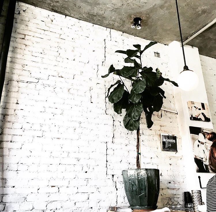 Gastroteca instagram coffee shop