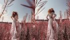 “Desert Flamingo” :: Zoe Somersault by Liza Boone